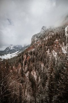 Alpsee | Winter in de Alpen van Nanda van der Eijk