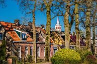 Voorjaar in het Friese dorpje Oudemirdum in Gaasterland von Harrie Muis Miniaturansicht