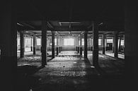 Abandoned factory hall by Myron van Ruijven thumbnail