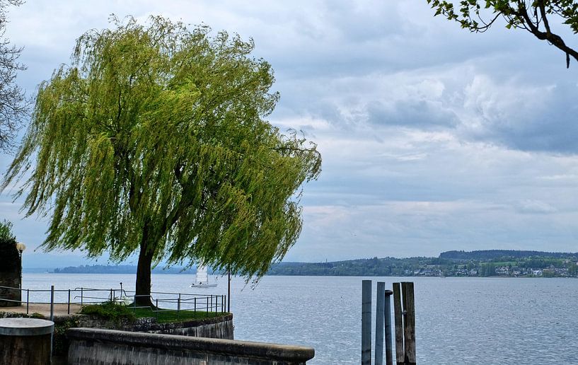 Blick vom Ufer von Edgar Schermaul