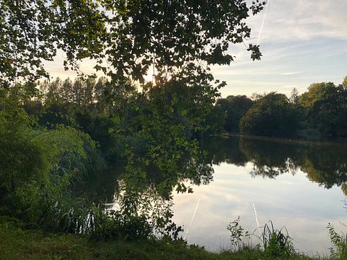 Der Park von Kirsten Nilis