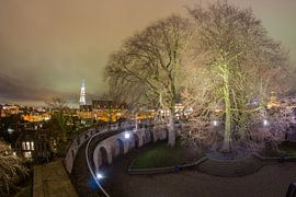 Burcht, Leiden van Jordy Kortekaas