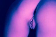 Künstlerischer Akt einer Vagina in Split Tone Rosa Blau von Art By Dominic Miniaturansicht