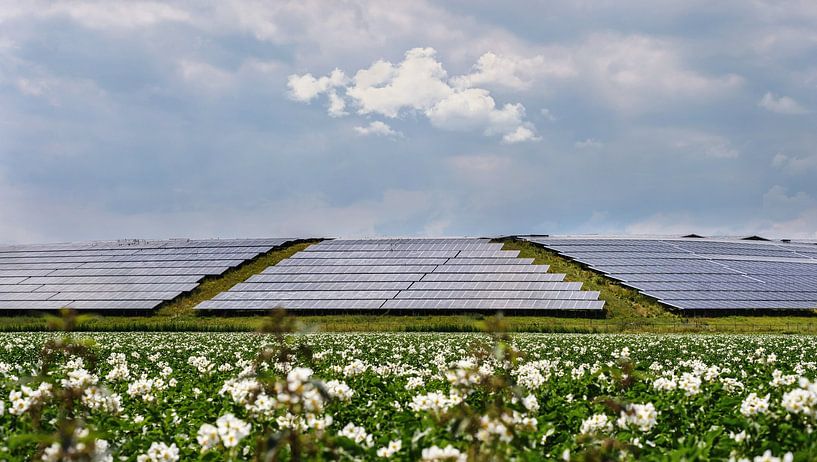 Sonnenkollektoren in der Natur ( Solarenergie ) von Chi
