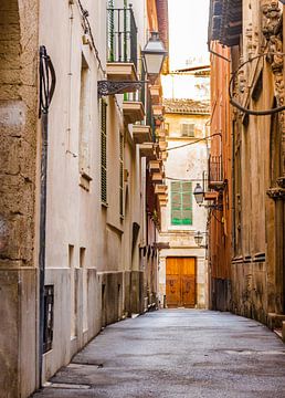 Steeg in het historische stadscentrum van Palma de Mallorca, Spanje van Alex Winter