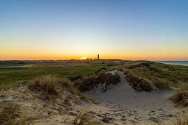De duinen van Texel van Sanne Berg