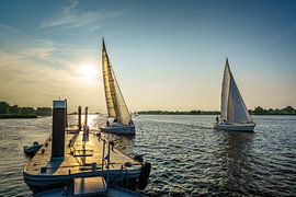 Segelwettbewerb auf dem Fluss Amer bei Drimmelen von Pixel Meeting Point