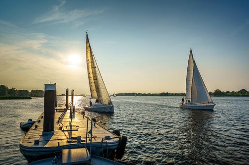 Segelwettbewerb auf dem Fluss Amer bei Drimmelen