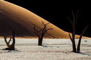 Toter Winkel Namibia