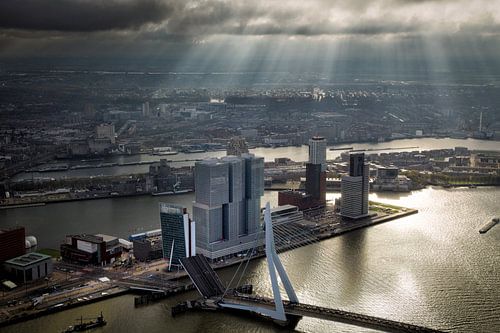 Rotterdam, a sun harp shines over the Erasmus Bridge and Wilhelminapier 