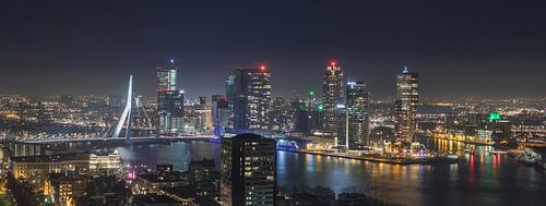 Het uitzicht op de skyline van Rotterdam