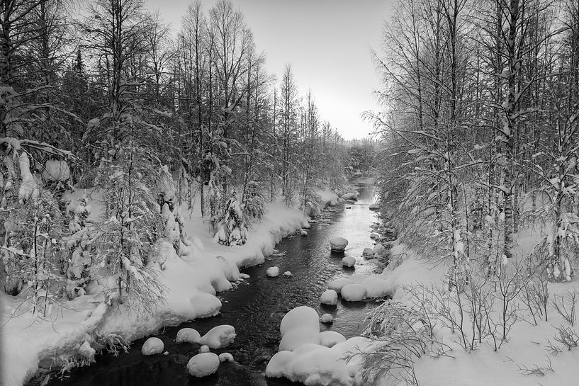 Winter in zwart en wit par Menno Schaefer