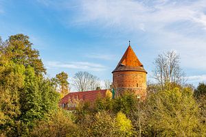 Burg und Bäume in der Stadt Plau am See