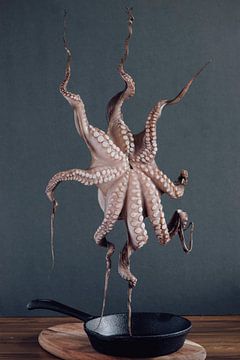 Flying Food: Only a small Pulpo von Gaby Mohr