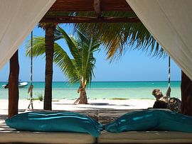 Strand von Isla Holbox by Patrick Hundt