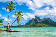 Op een onbewoond eiland op Bora Bora van Ralf van de Veerdonk thumbnail