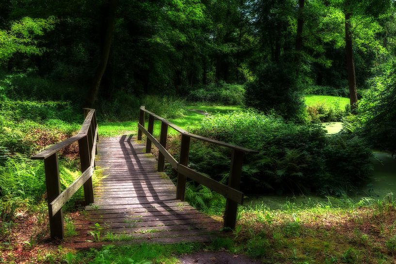 Brug Nienoord Leek Groningen Netherlands van R Smallenbroek