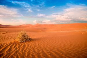 Desert sur Thomas Froemmel