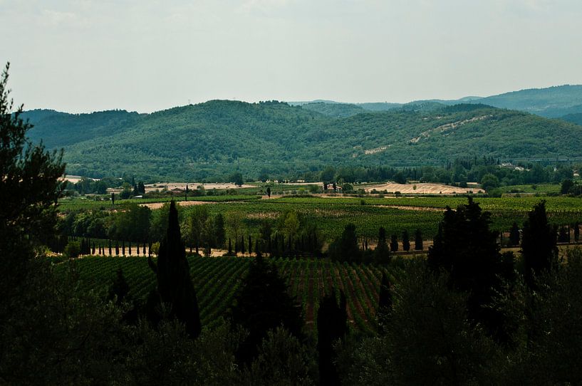 Toscane von Mees Tempelaar