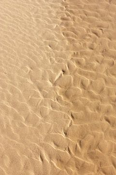 Zand van Sigrid Olschinski