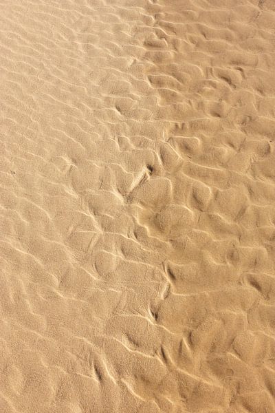 Sand 2 von Sigrid Olschinski
