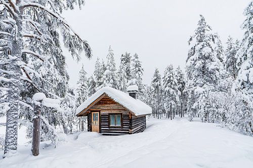 Landschap in de winter met blokhut en bos in Äkäslompolo, 