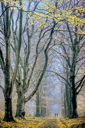 wandelen in bescheidenheid