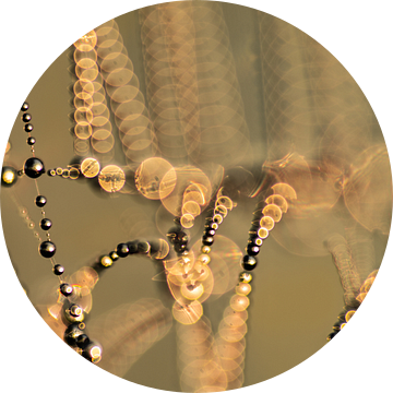 Spinnenweb met dauwdruppels zonsopkomst | Natuur van Nanda Bussers