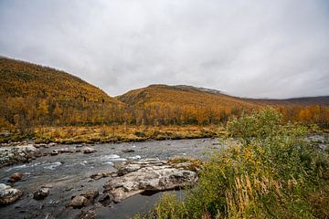 Rivière à travers les montagnes d'automne de la Norvège sur Mickéle Godderis