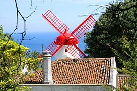 Red and white mill by the sea, Azores by Anne Wil Stegeman