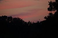 Avondrood