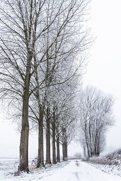 Wandelen in winters landschap van KC Photography