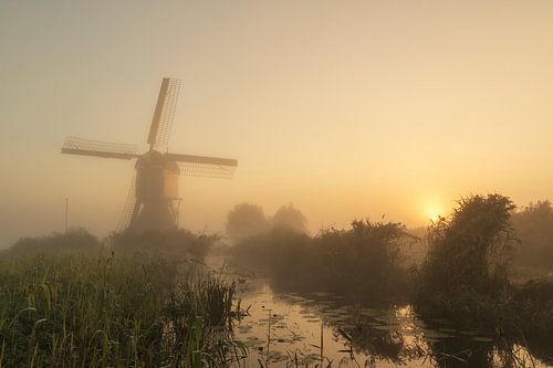 Foggy sunrise near the windmill