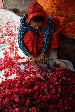 Rozen op de bloemenmarkt in jaipur van Mirja van Dijk