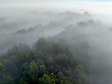 Mistig bos vanuit de lucht tijdens de herfst