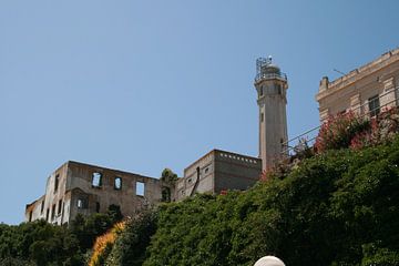 Alcatraz island 14
