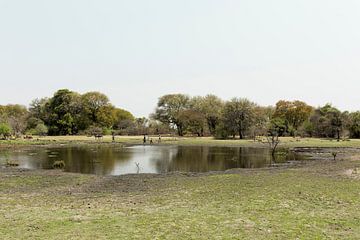 Le delta de l'Okavango est l'une des sept merveilles naturelles d'Afrique Botswana sur Tjeerd Kruse