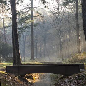 Magischer Morgen in Heidestein! von Peter Haastrecht, van