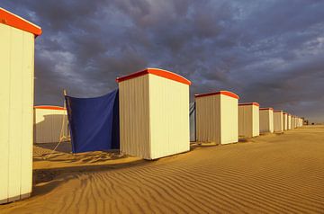 Strandleven! van Dirk van Egmond