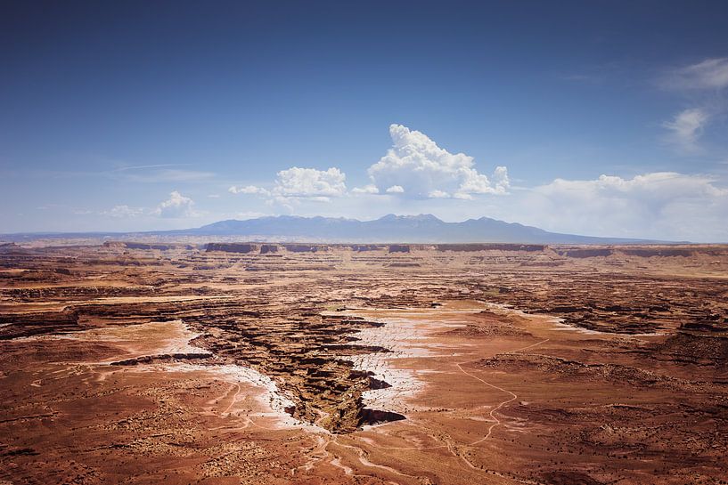 Canyonlands National Park by Harold van den Hurk
