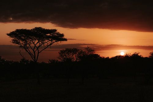 Typisch Afrika