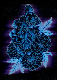 Blume von irvan halim