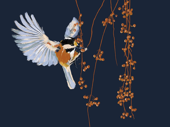 Wintervogel von <span class="secondary-font">Studio Carper</span>