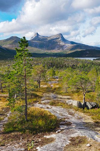De spectaculaire natuur van Noorwegen - bergen, fjorden en meren in indrukwekkende fotografie.