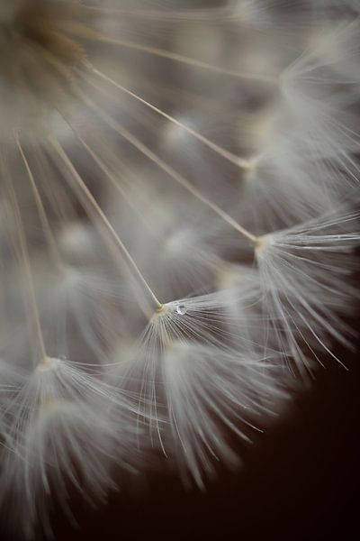 The last drip by Jefra Creations
