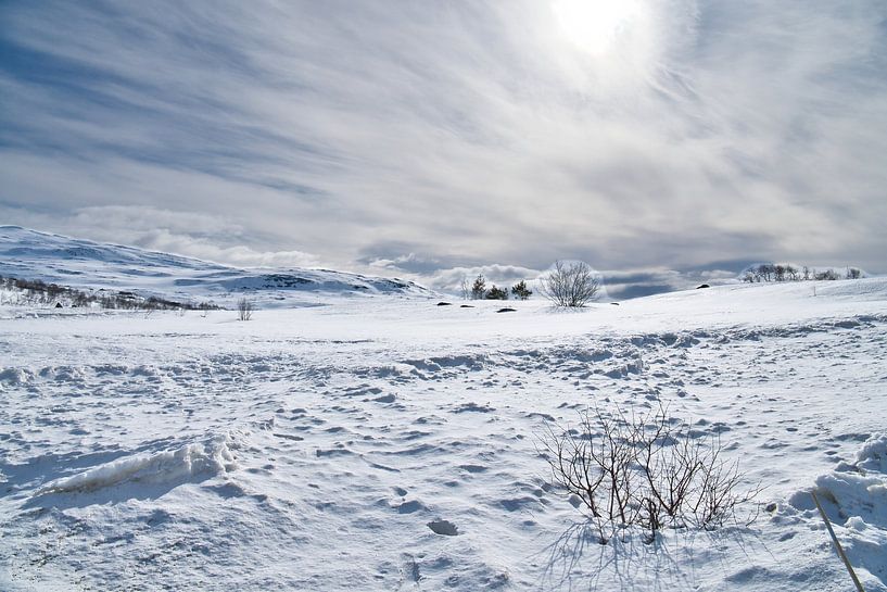 Norwegian high mountains, snow-covered mountains and landscape by Martin Köbsch