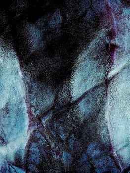 Torso – Pose