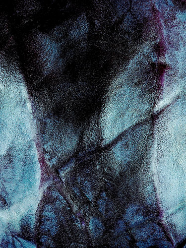 Torso – Pose