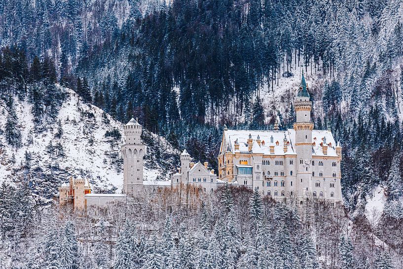 Kasteel Neuschwanstein, Allgäu, Beieren, Duitsland van Henk Meijer Photography