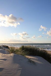 Schoonmaakduinen